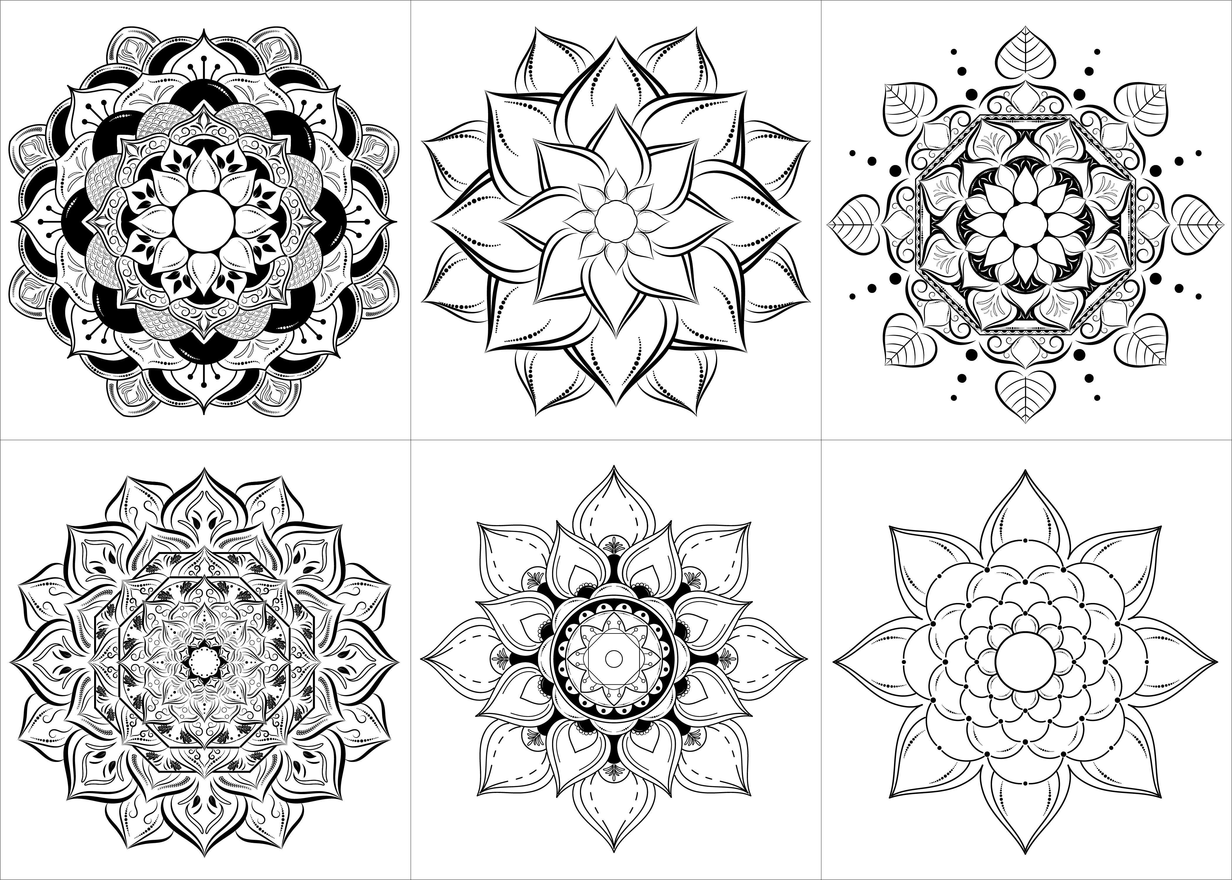 Black and White Mandala Set in Floral Style 952912 Vector Art at Vecteezy