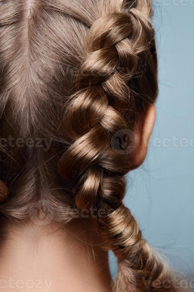 Beauty model with pigtails from back photo