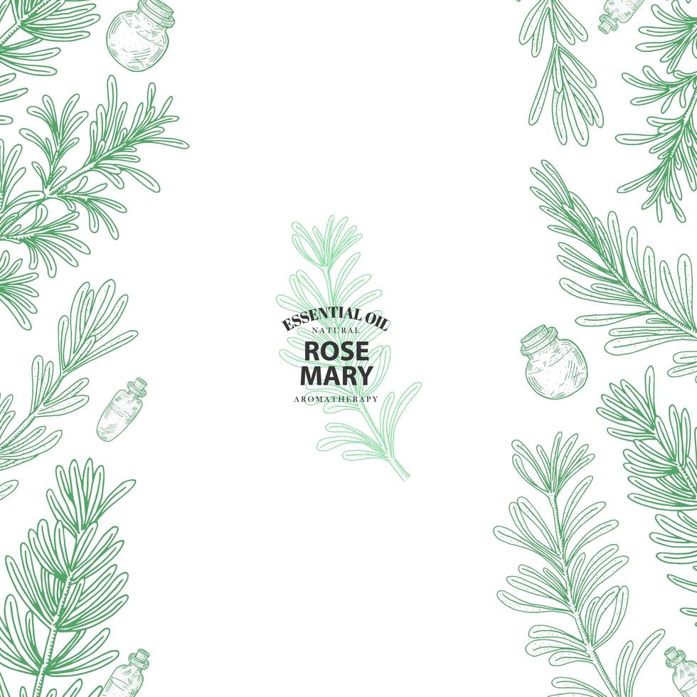 Rosemary Sprig Borders in Outline Style vector