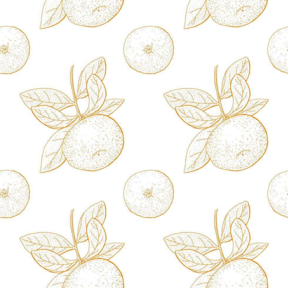 Citrus Vintage Seamless Pattern vector