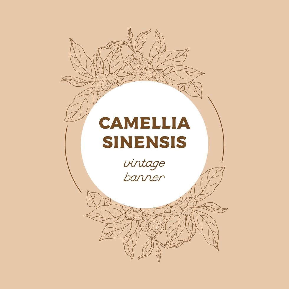 Camellia Sinensis Hand Drawn Circle Banner vector