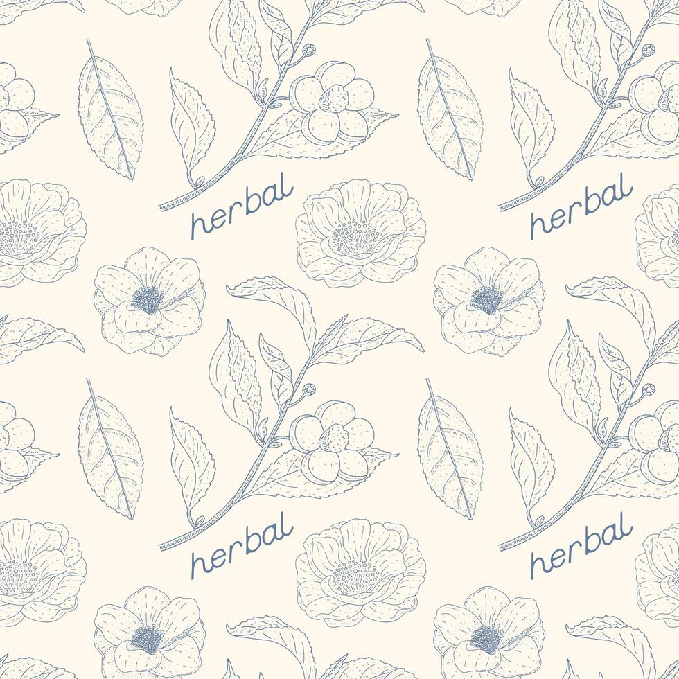 Camellia Sinensis Vintage Seamless Pattern vector