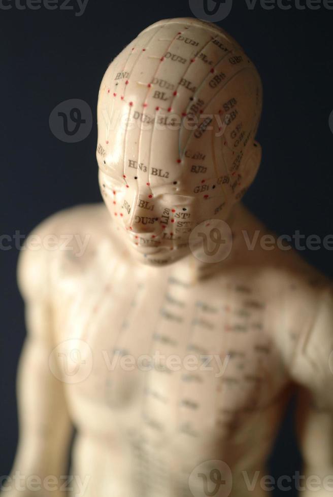 acupuntura (cabeza y cuerpo) foto