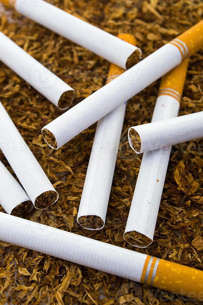 closeup of cigarettes detail on tobacco background 956975 Stock Photo