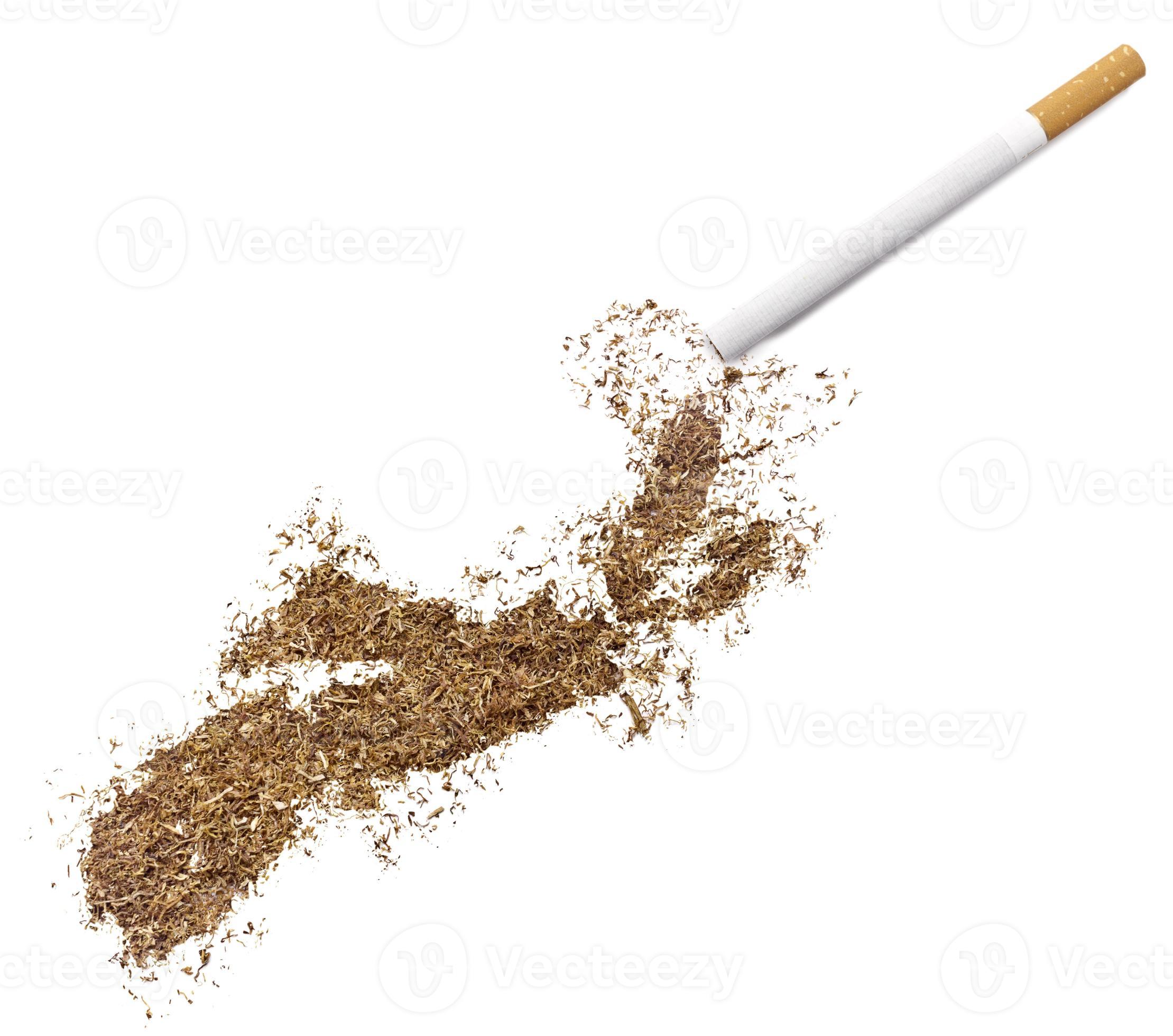 Cigarette and tobacco shaped as Nova Scotia (series) 957328 Stock Photo