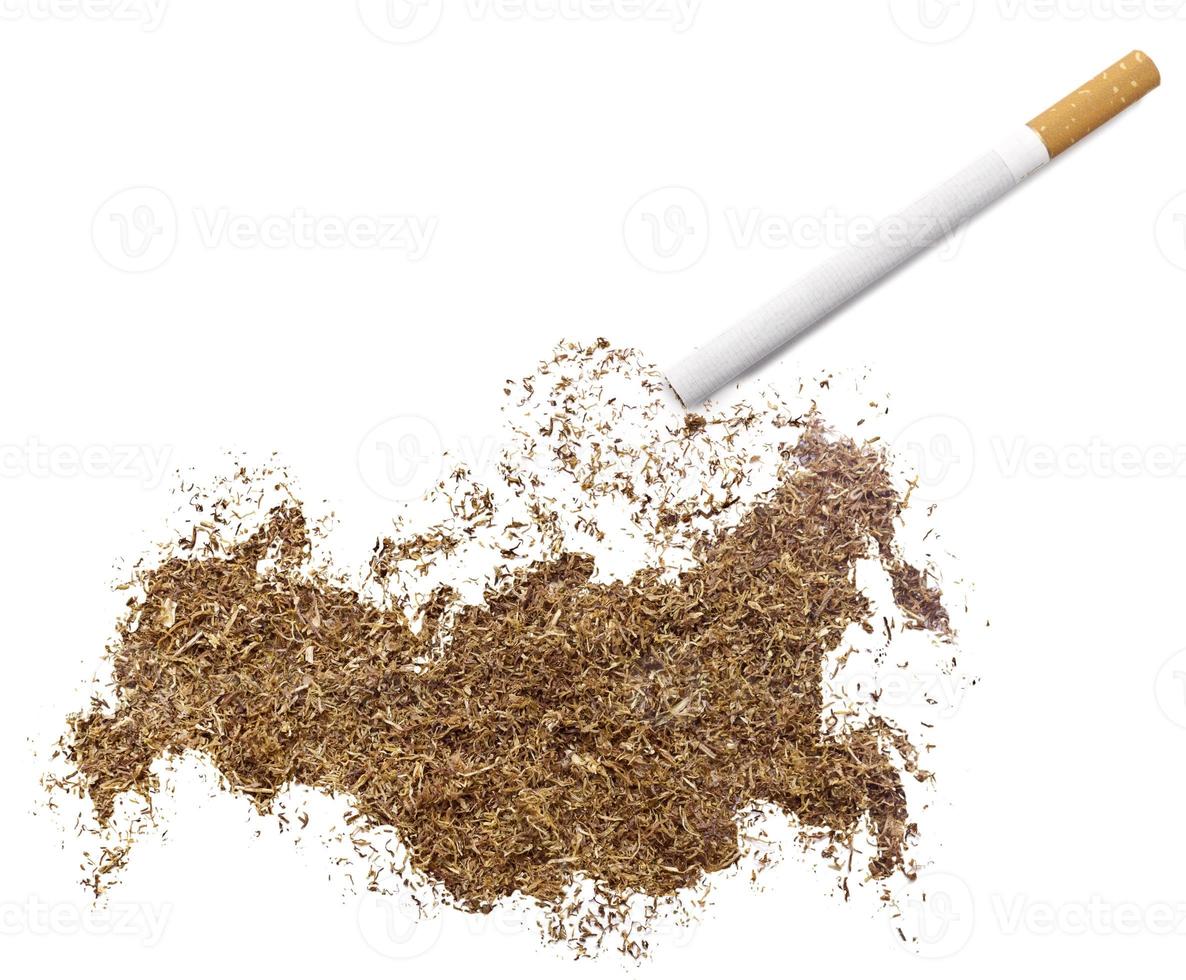 Cigarette and tobacco shaped as Russia (series) photo