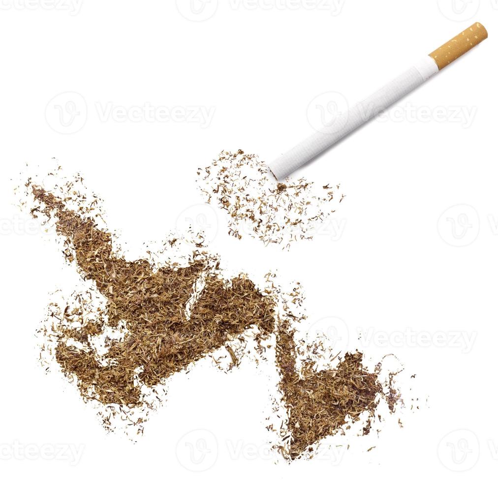 Cigarette and tobacco shaped as Newfoundland (series) photo