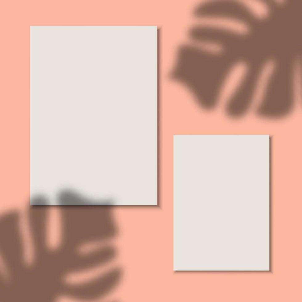 papeles sobre fondo pastel con sombras de hojas tropicales vector