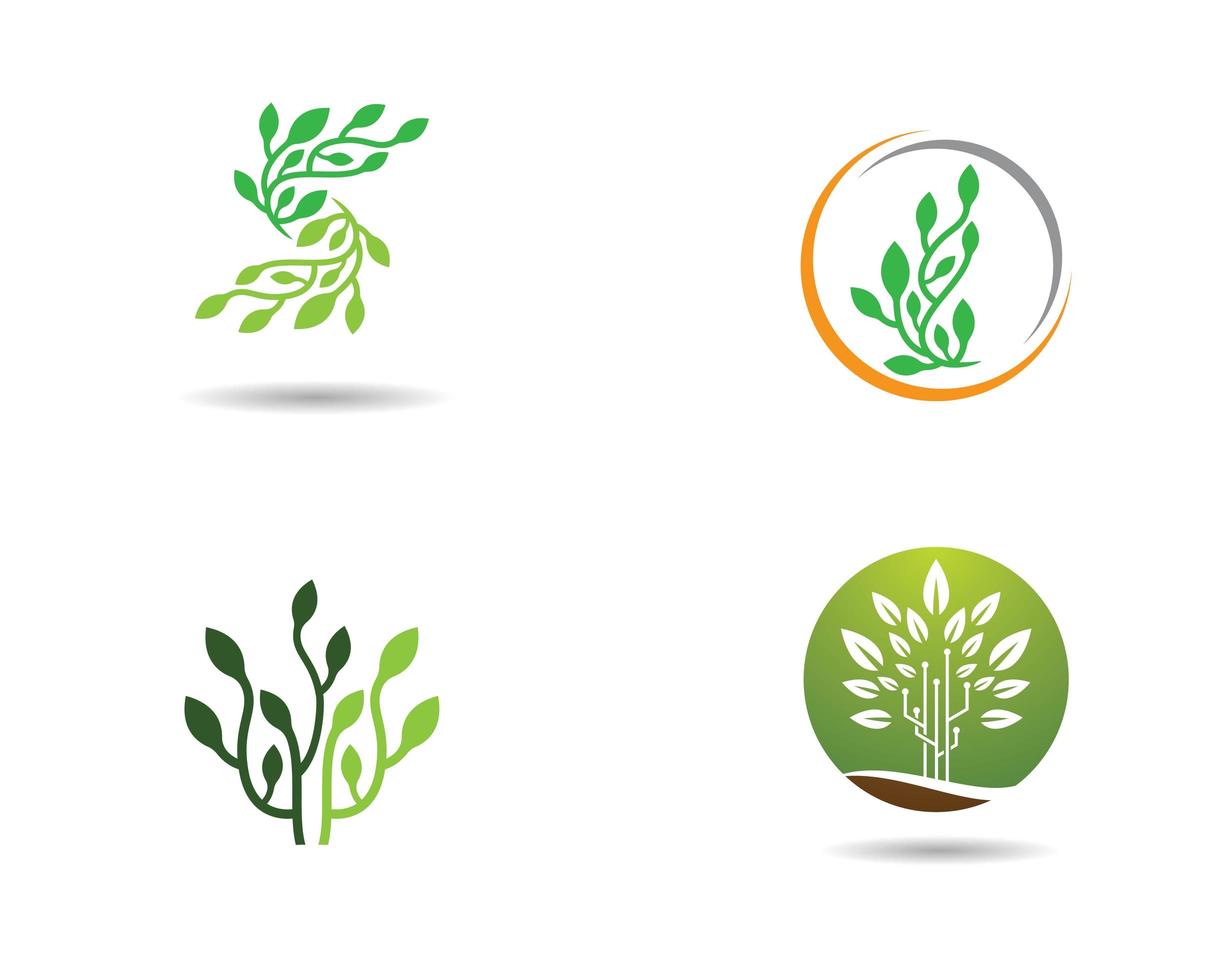 conjunto de logotipo de crecimiento ecología vector