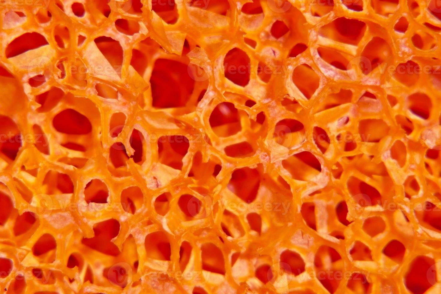 Red porous structure. photo