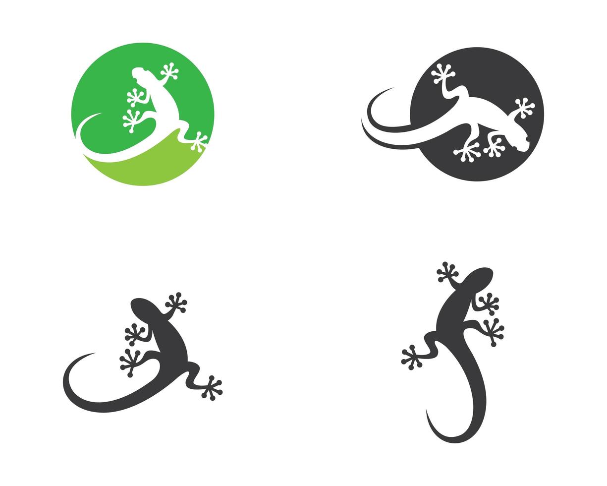 Lizard logo template set vector