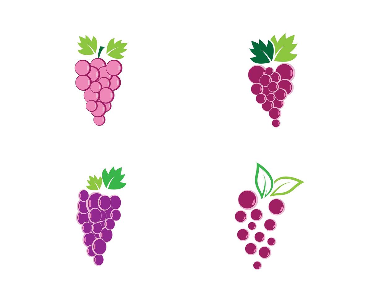 Grape logo template vector