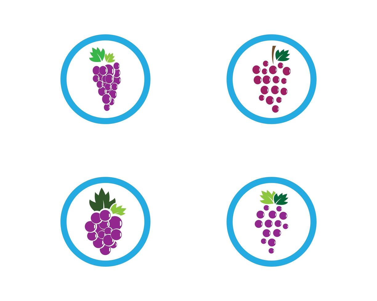 Circle Grape logo template vector