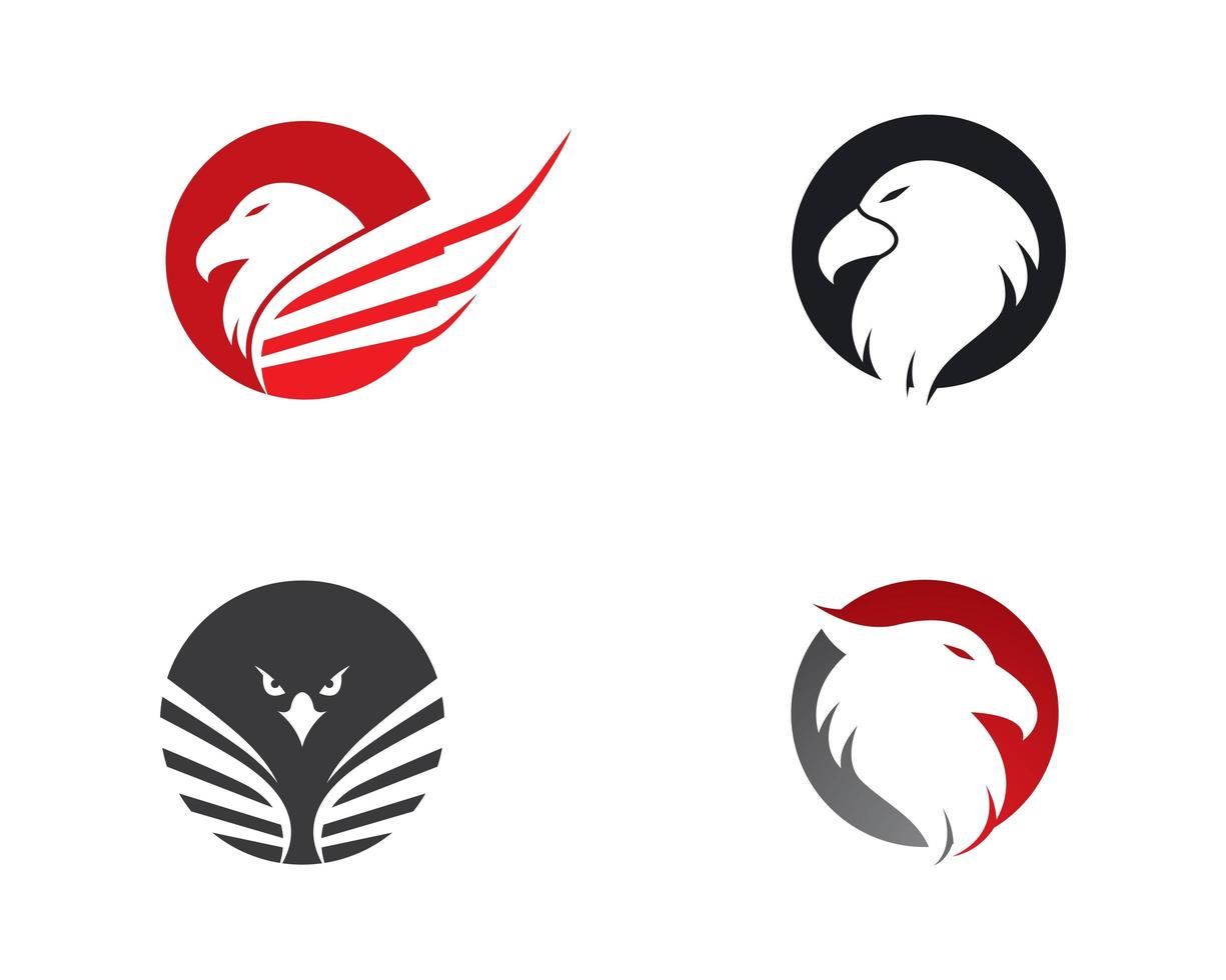 conjunto de logo de águila vector