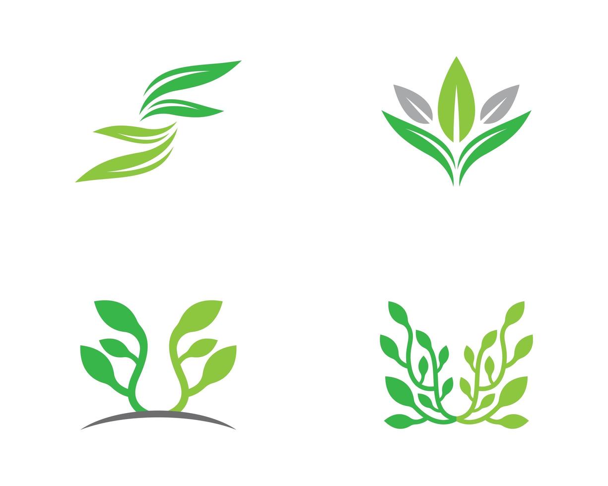 Ecology leaf logo illustration vector