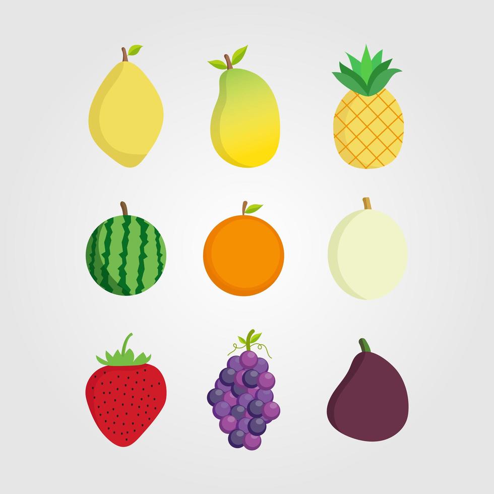 Set of Flat Style Fresh Fruit  vector