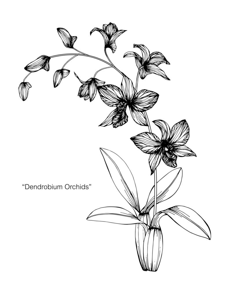 orquídea flor hoja dibujado a mano diseño vector