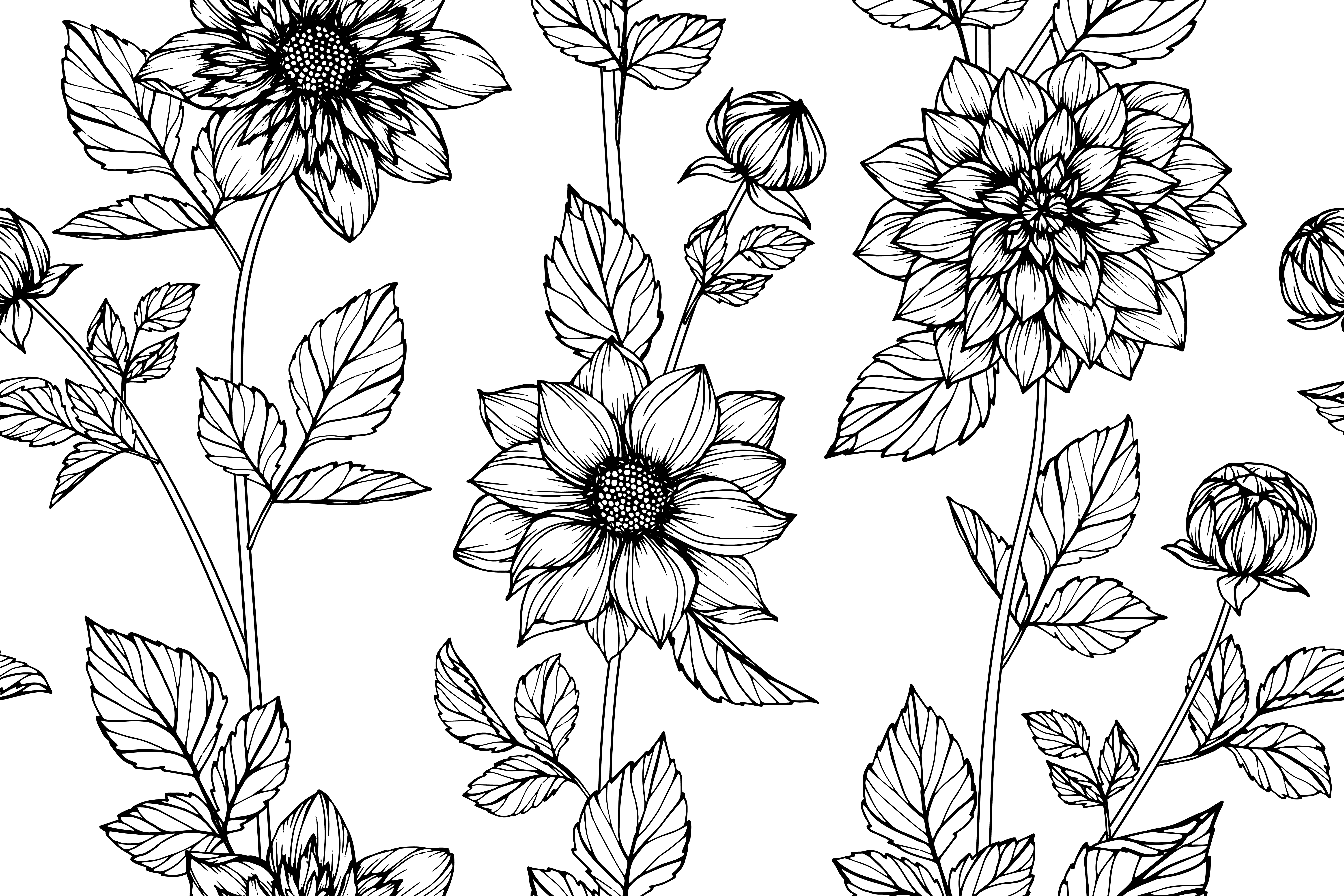Hand Drawn Dahlia Flower Seamless Pattern 962962 Vector Art at Vecteezy