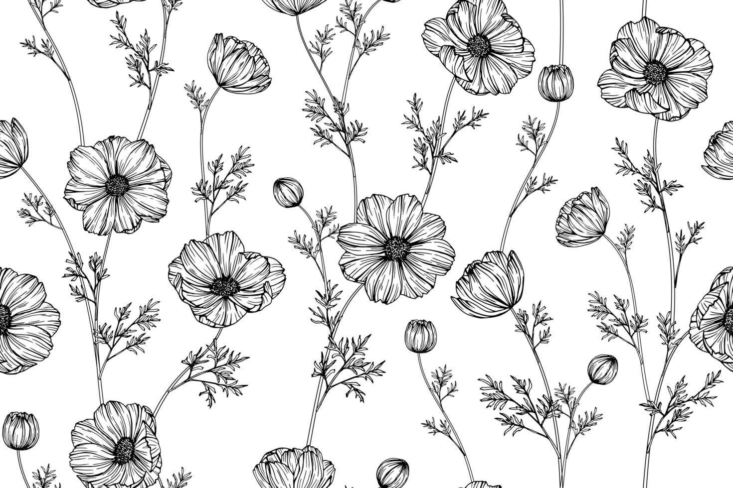 Hand Drawn Cosmos Flower Seamless Pattern vector