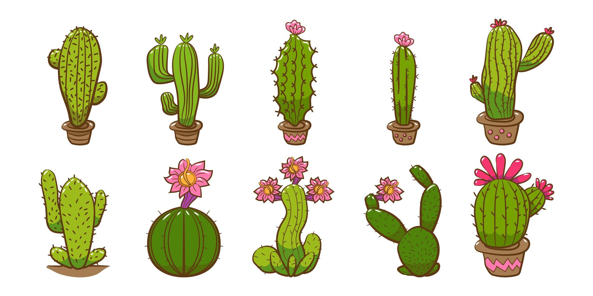 Dois, cacto, plantas, branco, fundo  Cactus vector, Cactus, Cactus plants