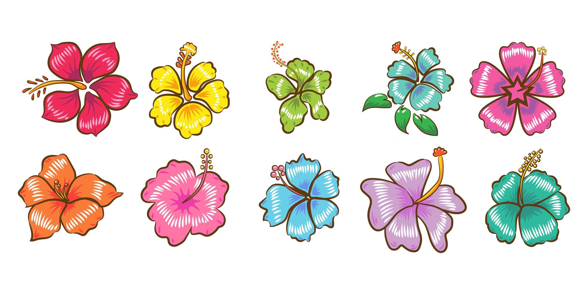 conjunto de flores de hibisco vector