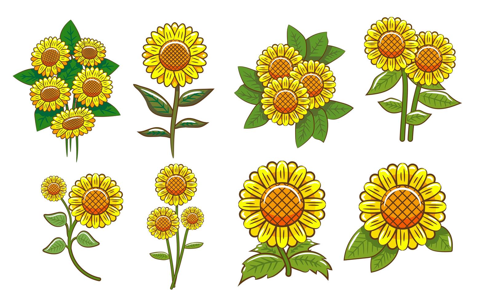 conjunto de colección de girasol vector