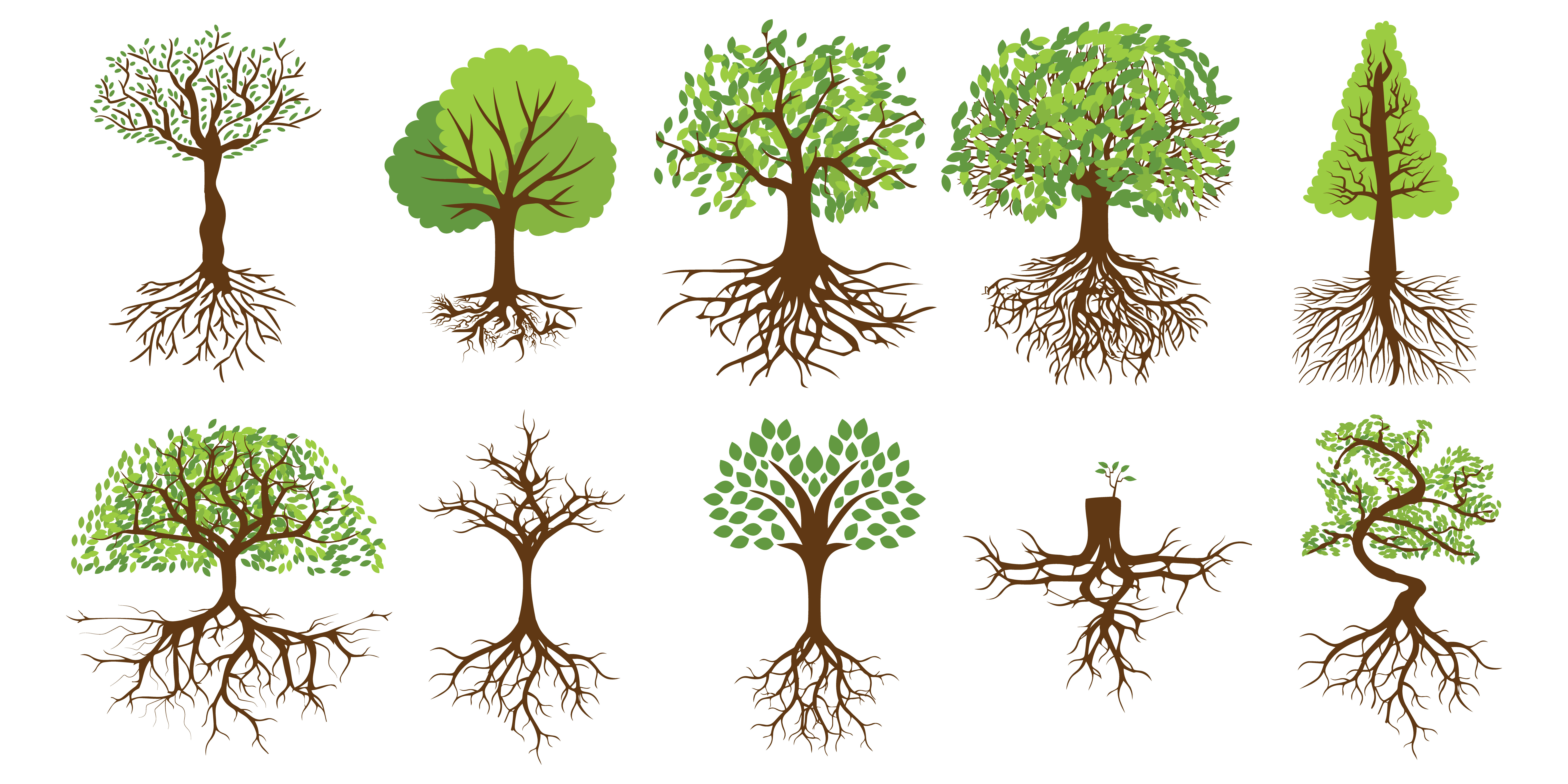 trees-with-roots-set-964054-vector-art-at-vecteezy