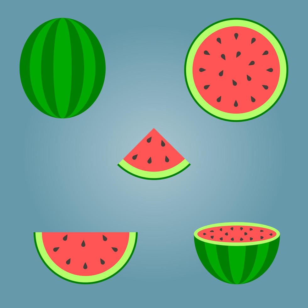 Set of watermelon pieces vector
