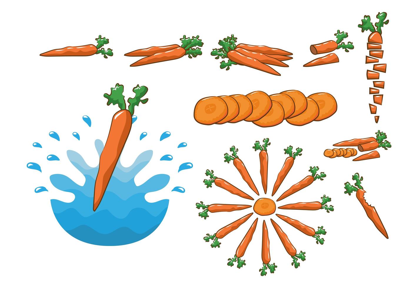 conjunto de vegetales de zanahoria vector