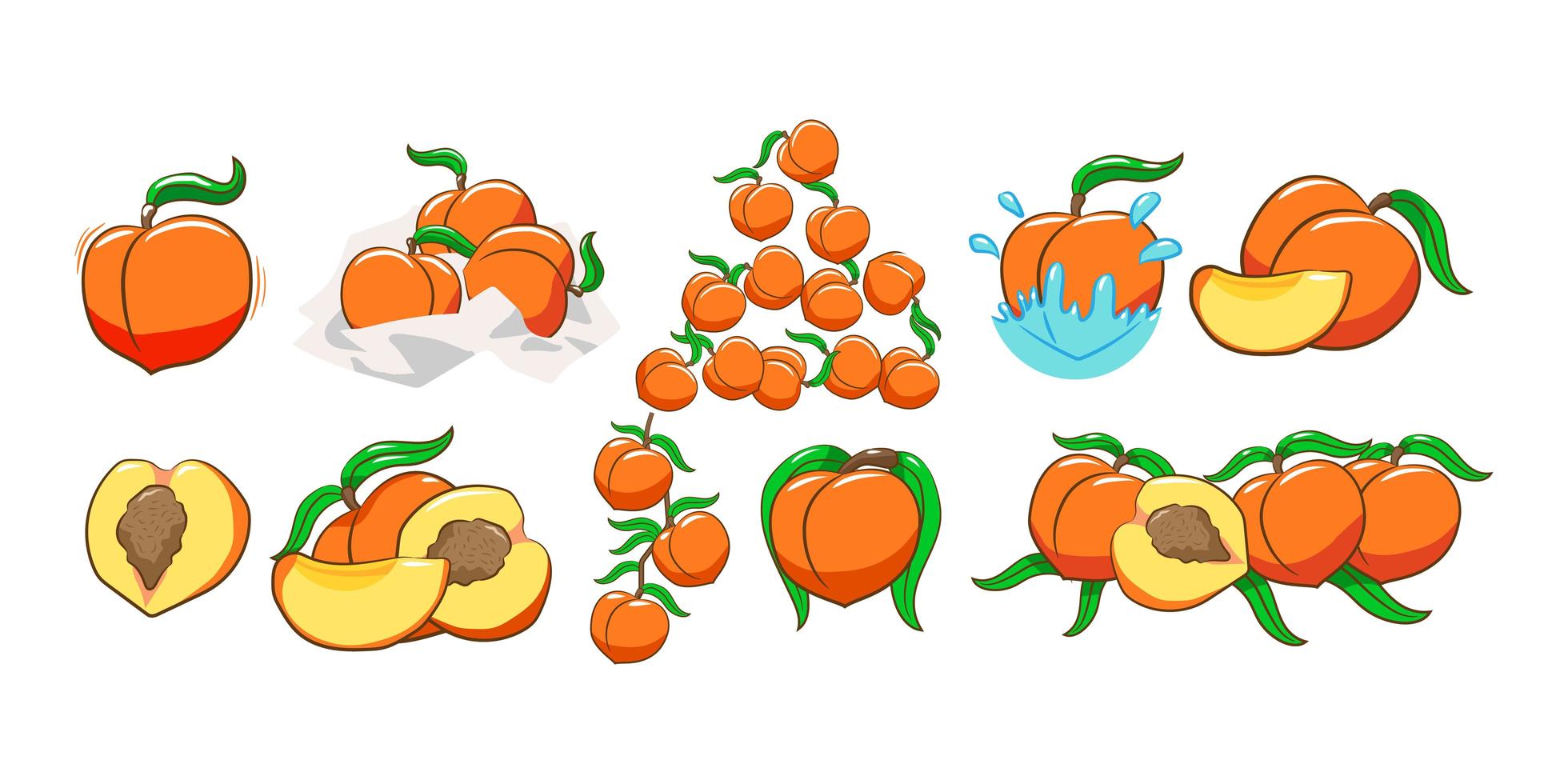 Peach Fruit Set vector