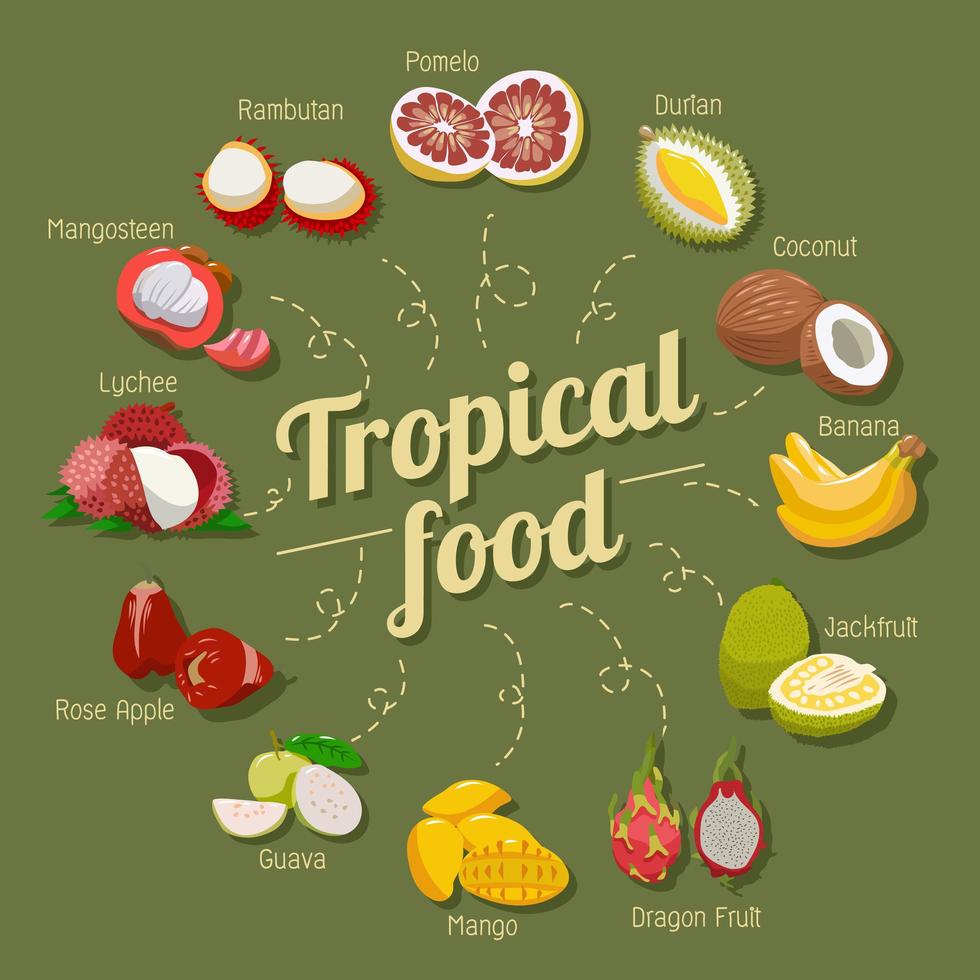 Tropical Fruit Set  vector