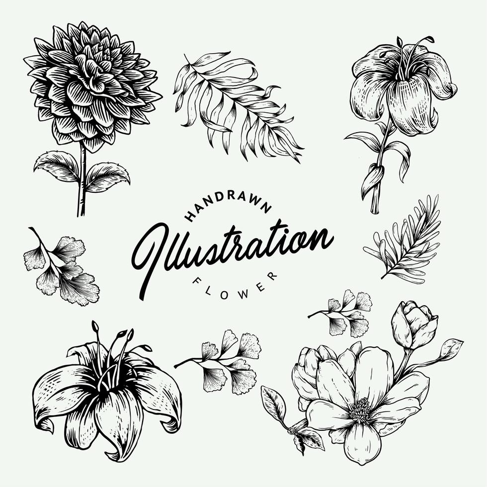 Hand Drawn Flower Set vector