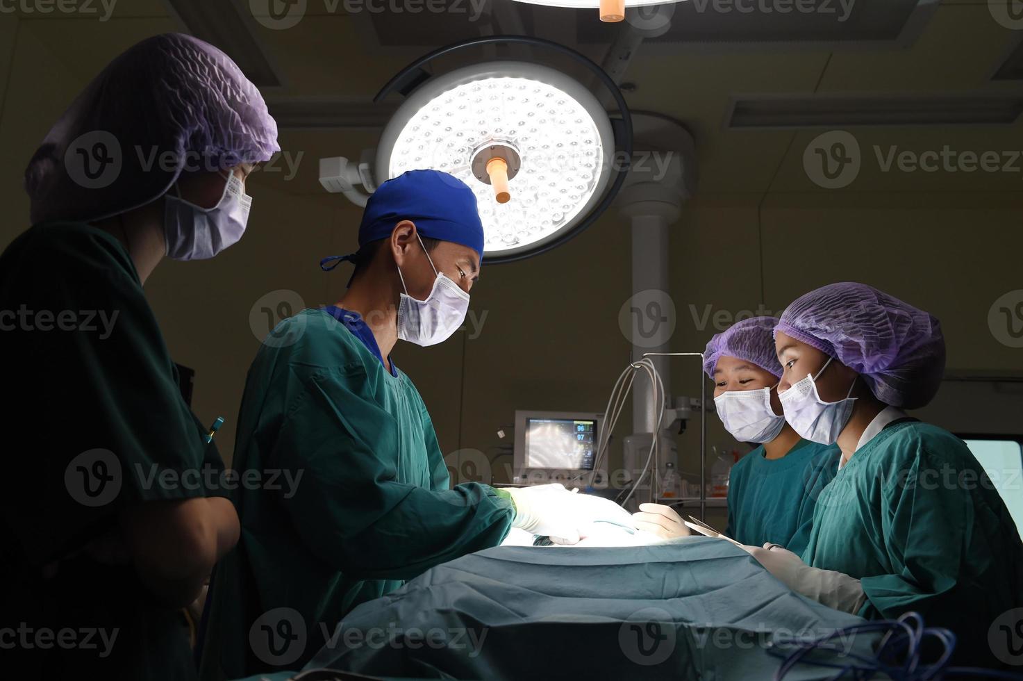 group of veterinarian surgery in operation room photo