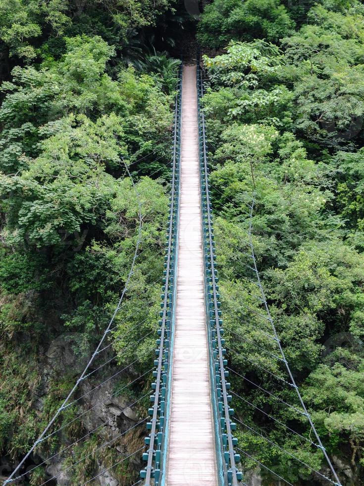 puente a la jungla foto