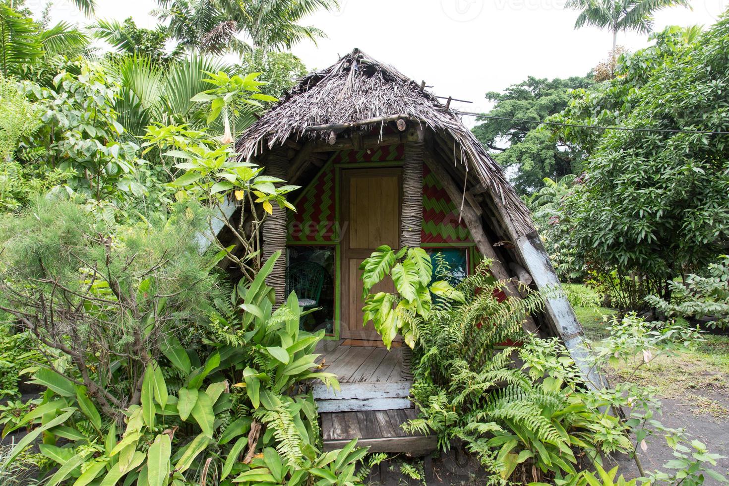 bungalow de la selva foto
