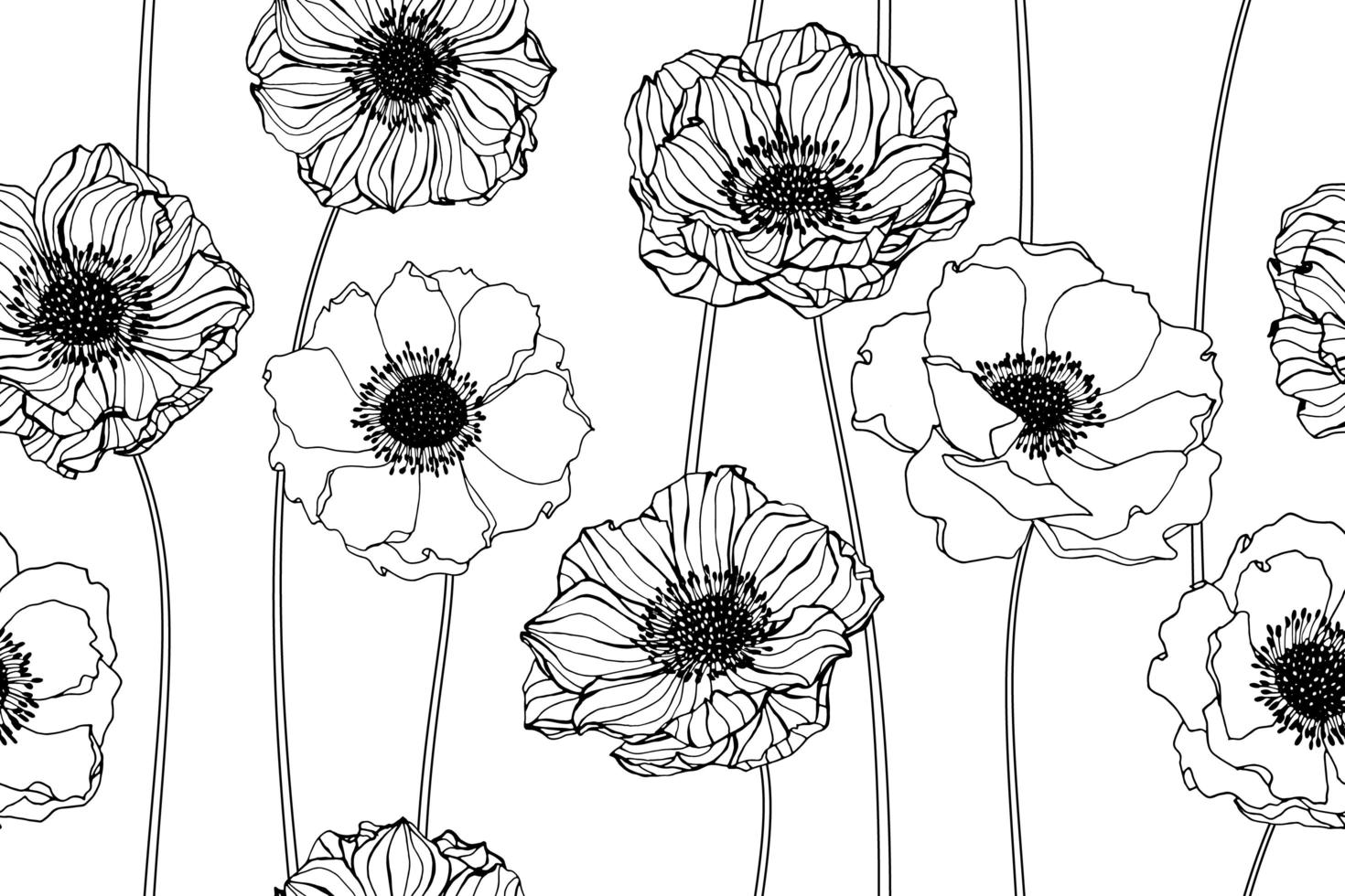 Hand Drawn Anemone Flowers vector