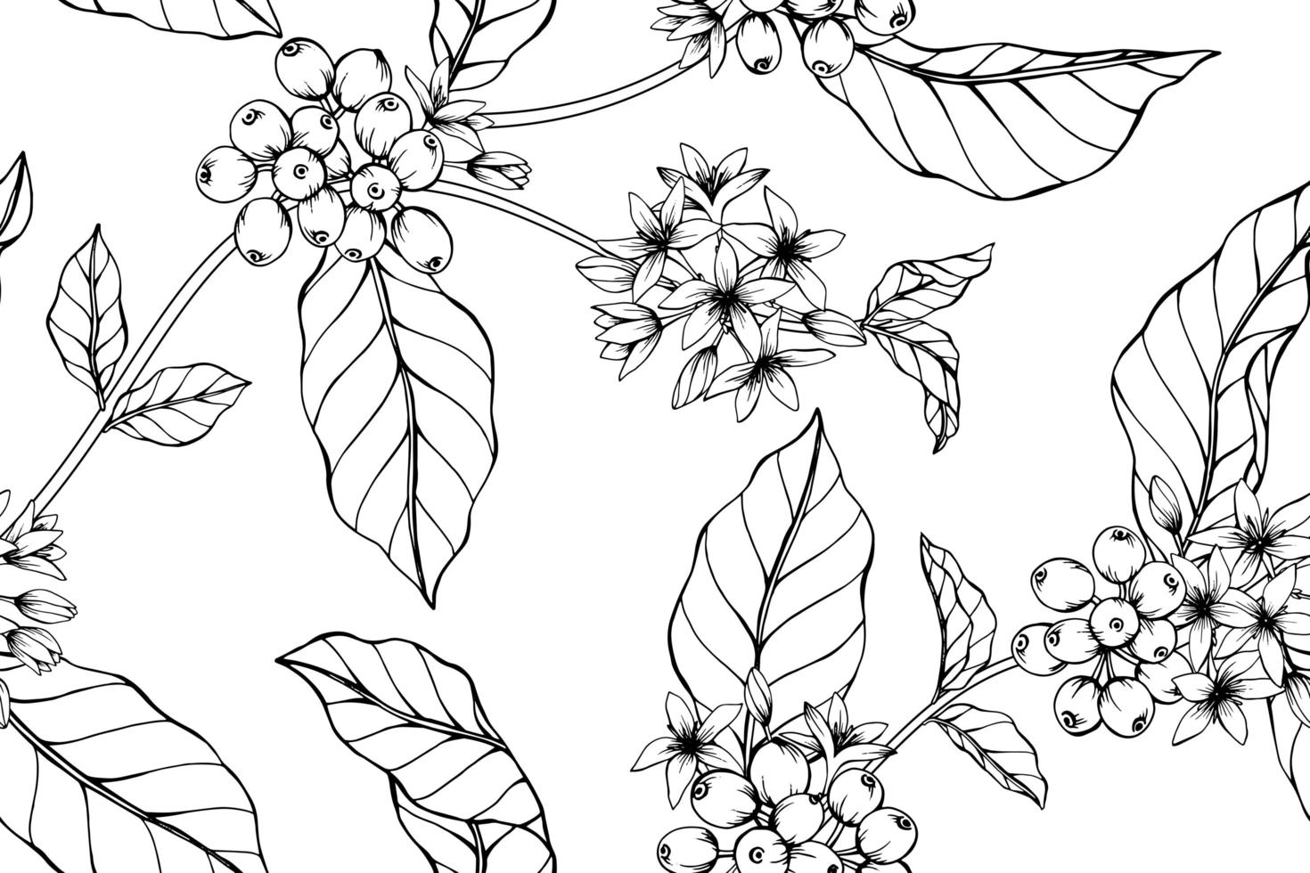 Drawn Coffee blossoms vector