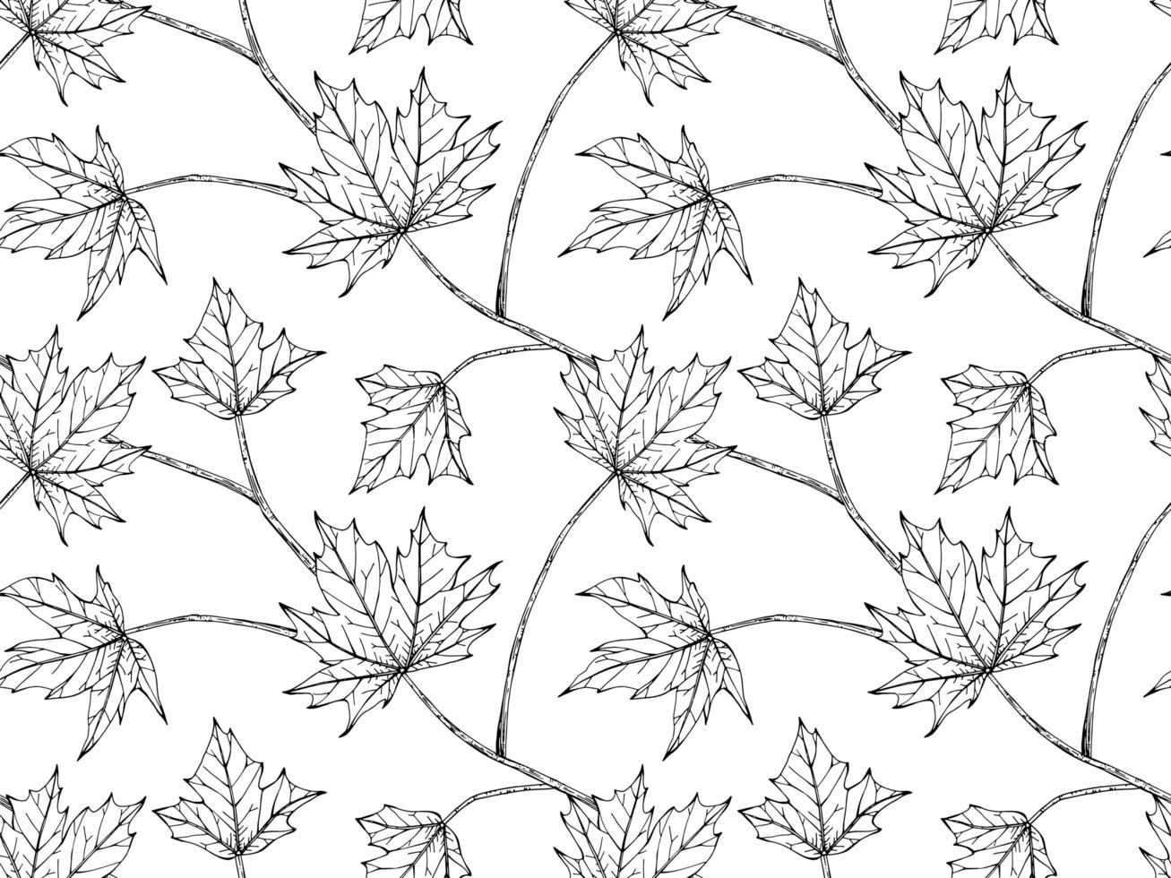 Hand Drawn Maple Leaf Pattern vector