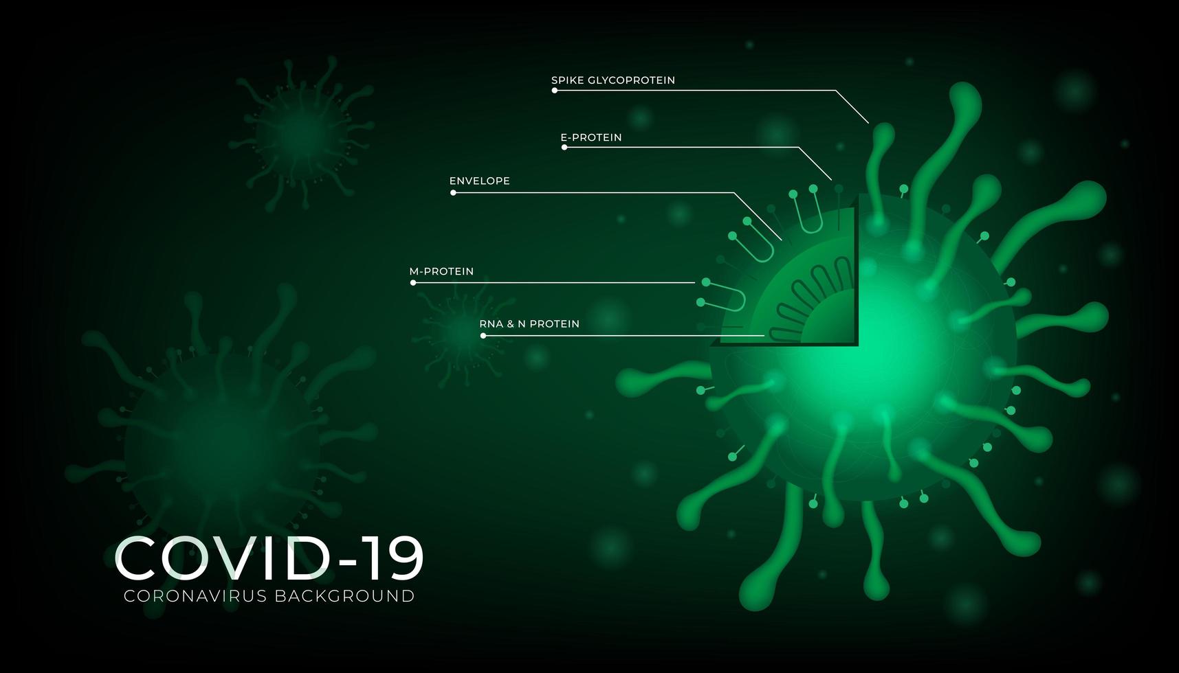 novedoso fondo coronavirus 2019-ncov vector