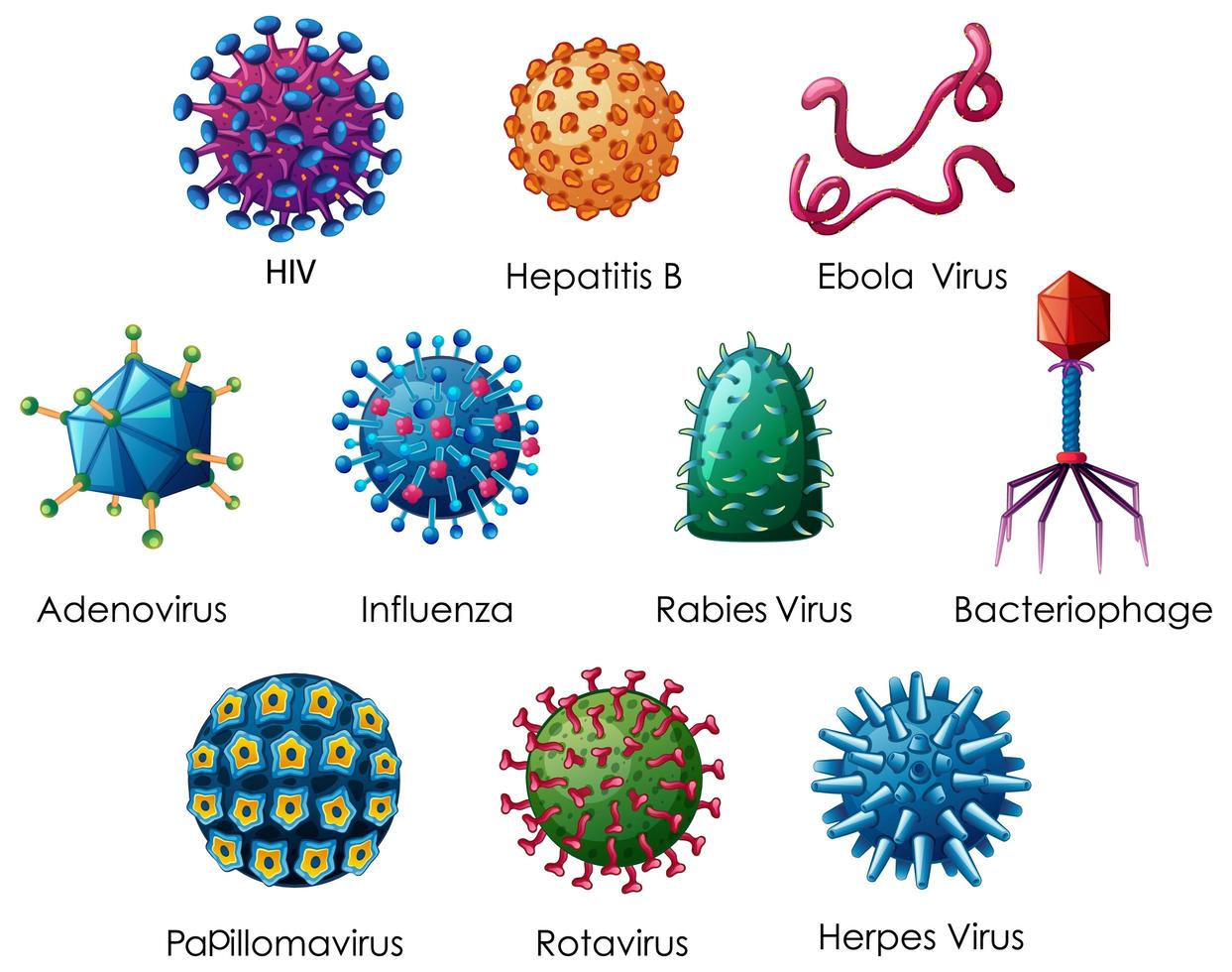 primer plano de diferentes tipos de virus vector