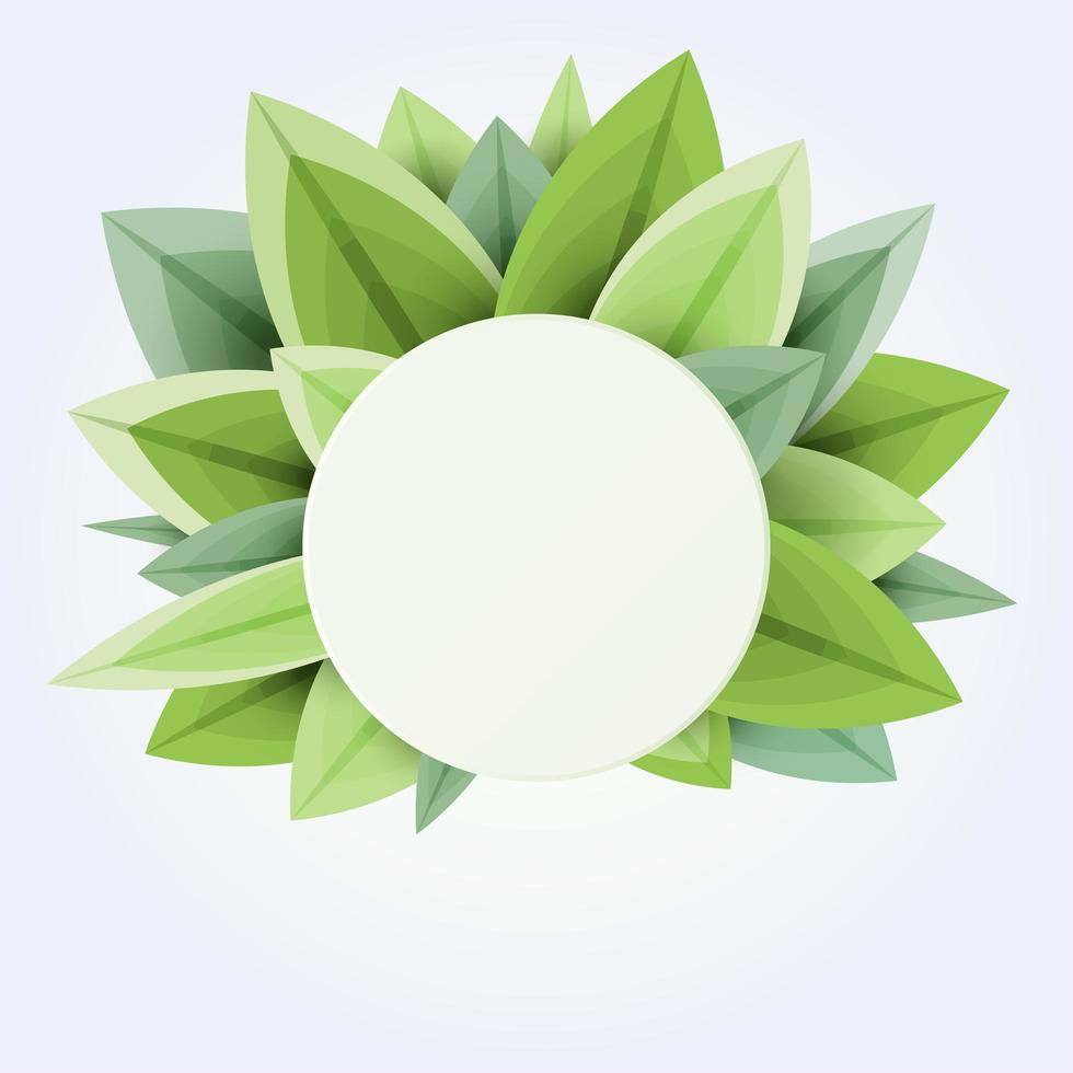 Green leaves circular frame vector