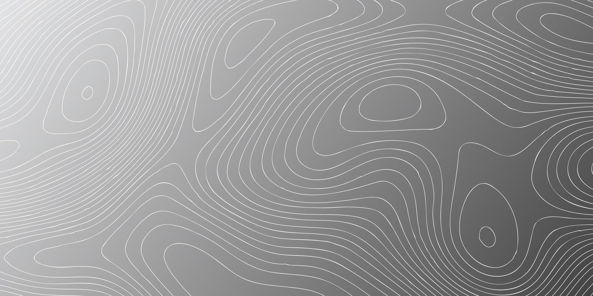 Topography contour background vector