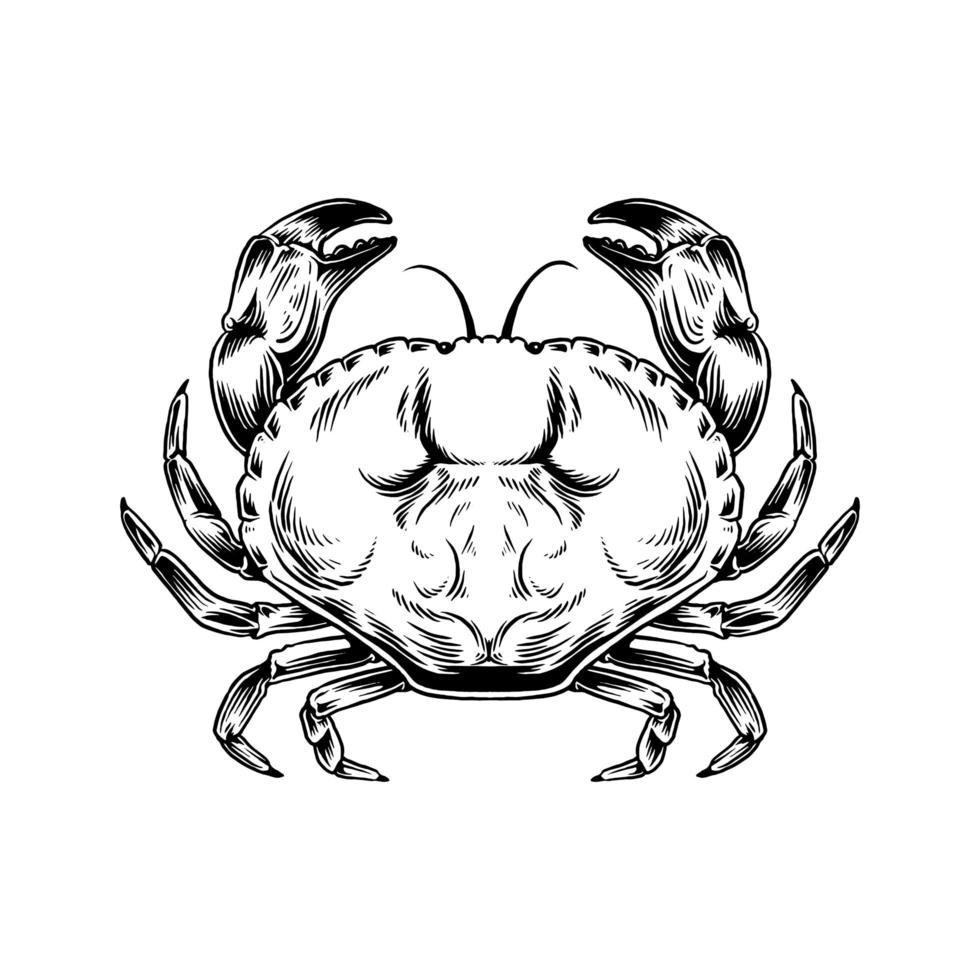 Hand drawn vintage crab drawing vector