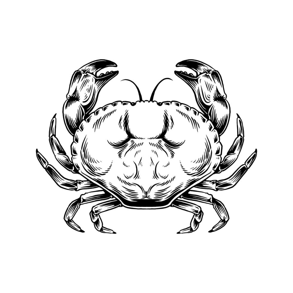 Hand drawn vintage crab drawing vector