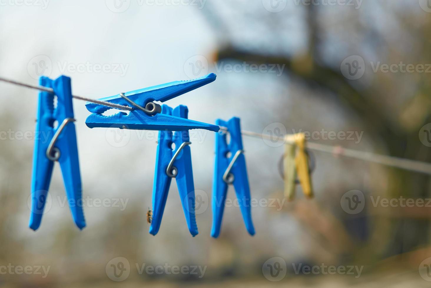 Clothespins on clothesline photo