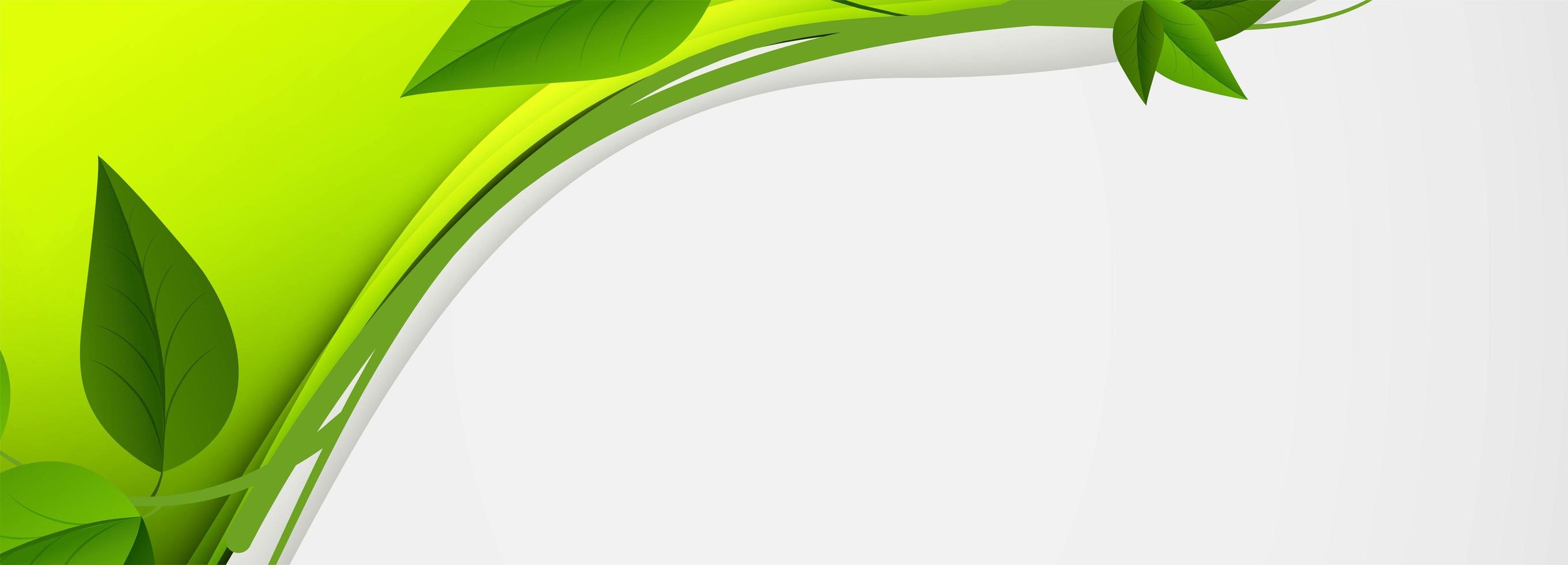 hojas de vid verde abstracto ola banner vector