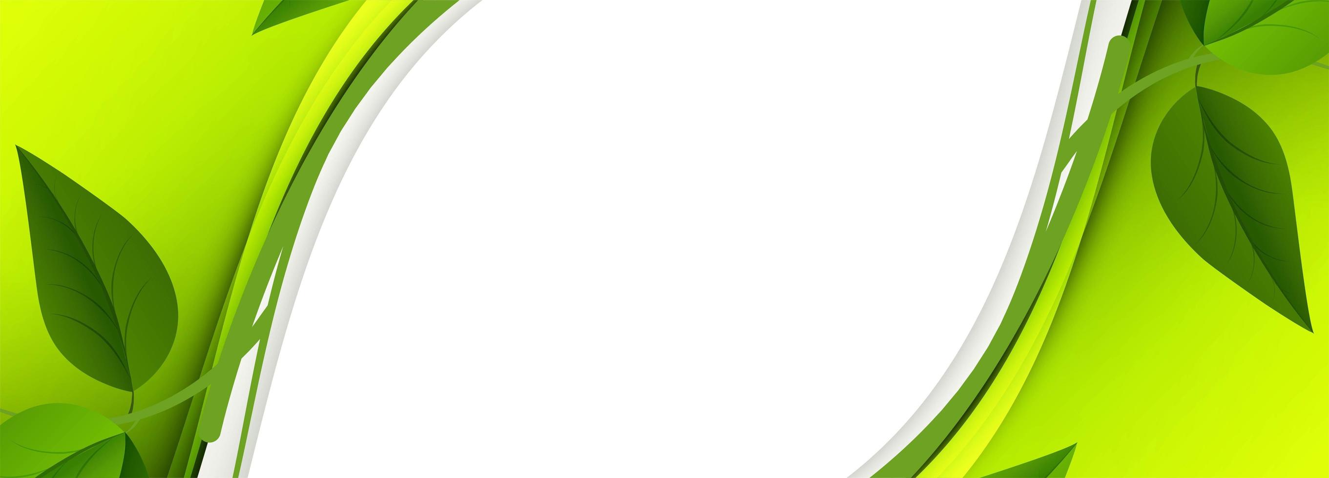 Abstract Green Leaf Wave Banner vector