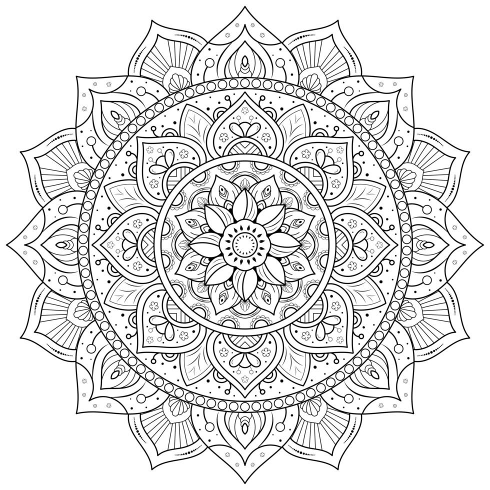 Circular Flower Mandala vector