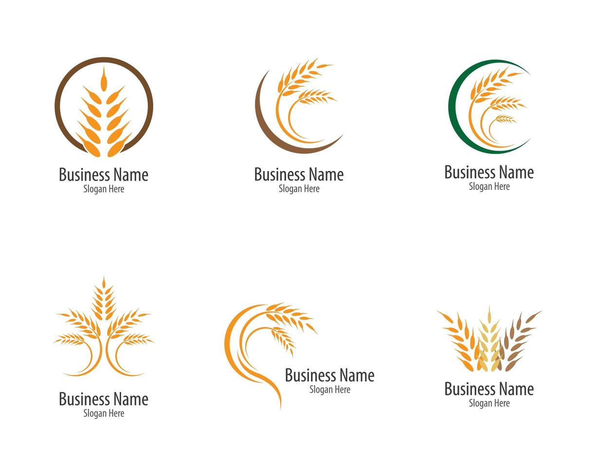 conjunto de logo de trigo y grano de agricultura vector