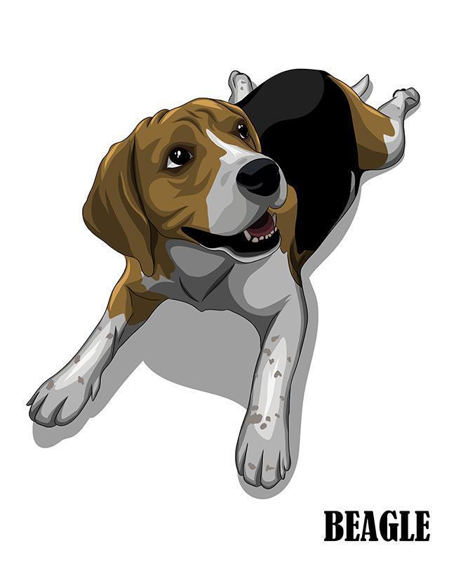 Ilustración de beagle mirando hacia arriba vector